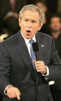 bush1.jpg